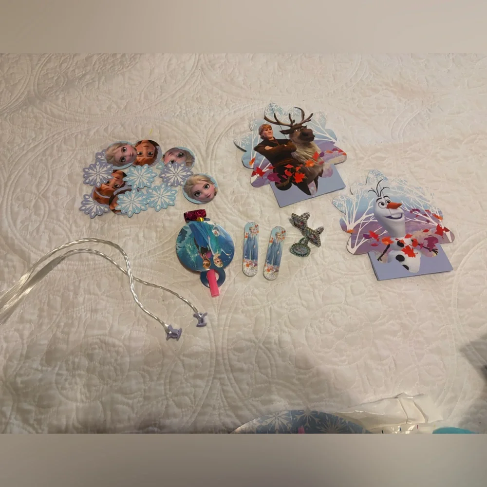 Frozen Themed Party Decorations and Supplies